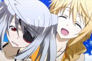 Infinite Stratos