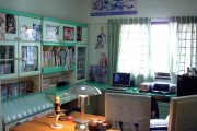 A look into an otaku's room