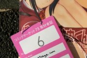 Comiket 73 - Part III: Random Shots